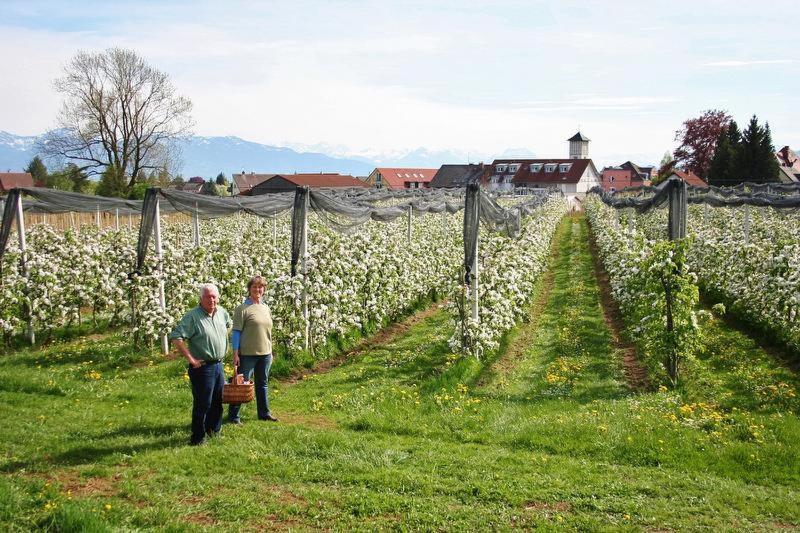 Ferienhof Schoengarten Λιντάου Εξωτερικό φωτογραφία